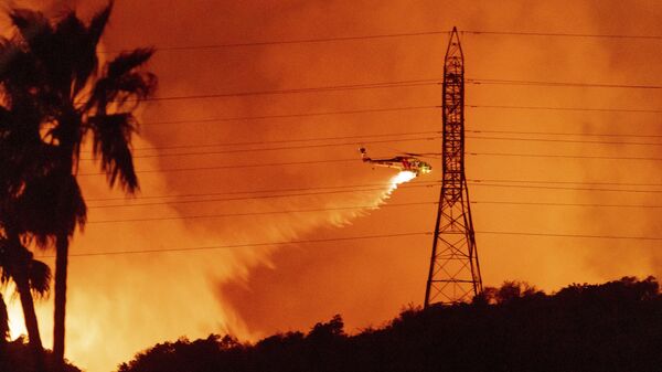 A helicopter drops water on the Palisades Fire in Mandeville Canyon, Friday, Jan. 10, 2025, in Los Angeles.  - Sputnik International