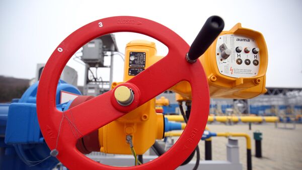 A Russian compressor station, which is part of the TurkStream gas pipeline. File photo

 - Sputnik International