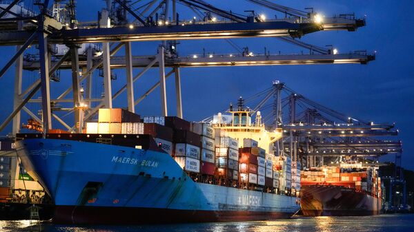 Cranes load a cargo ship at the Panama Canal's Balboa Port in Panama City, Sept. 9, 2024. - Sputnik International