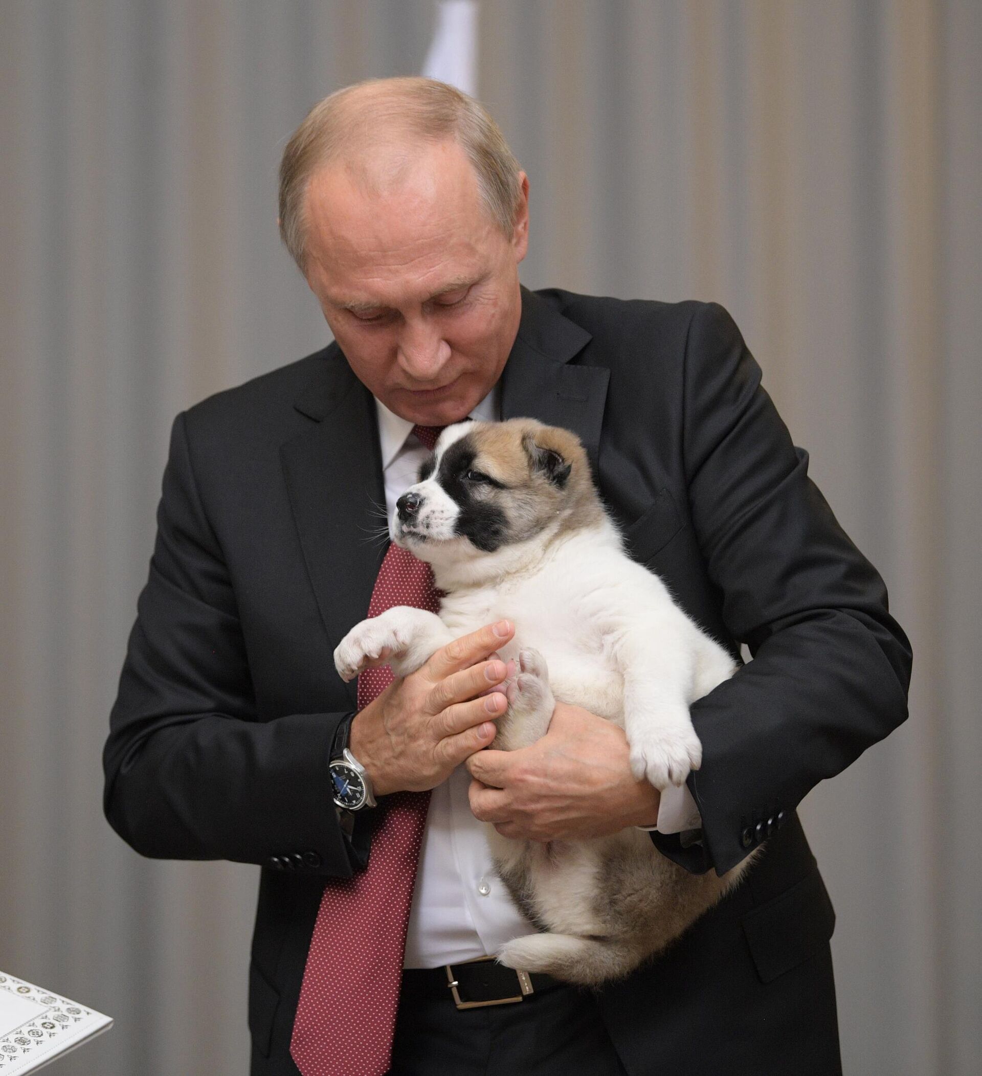 Russian President Vladimir Putin. File photo Russian President Vladimir Putin. File photo - Sputnik International, 1920, 07.05.2025