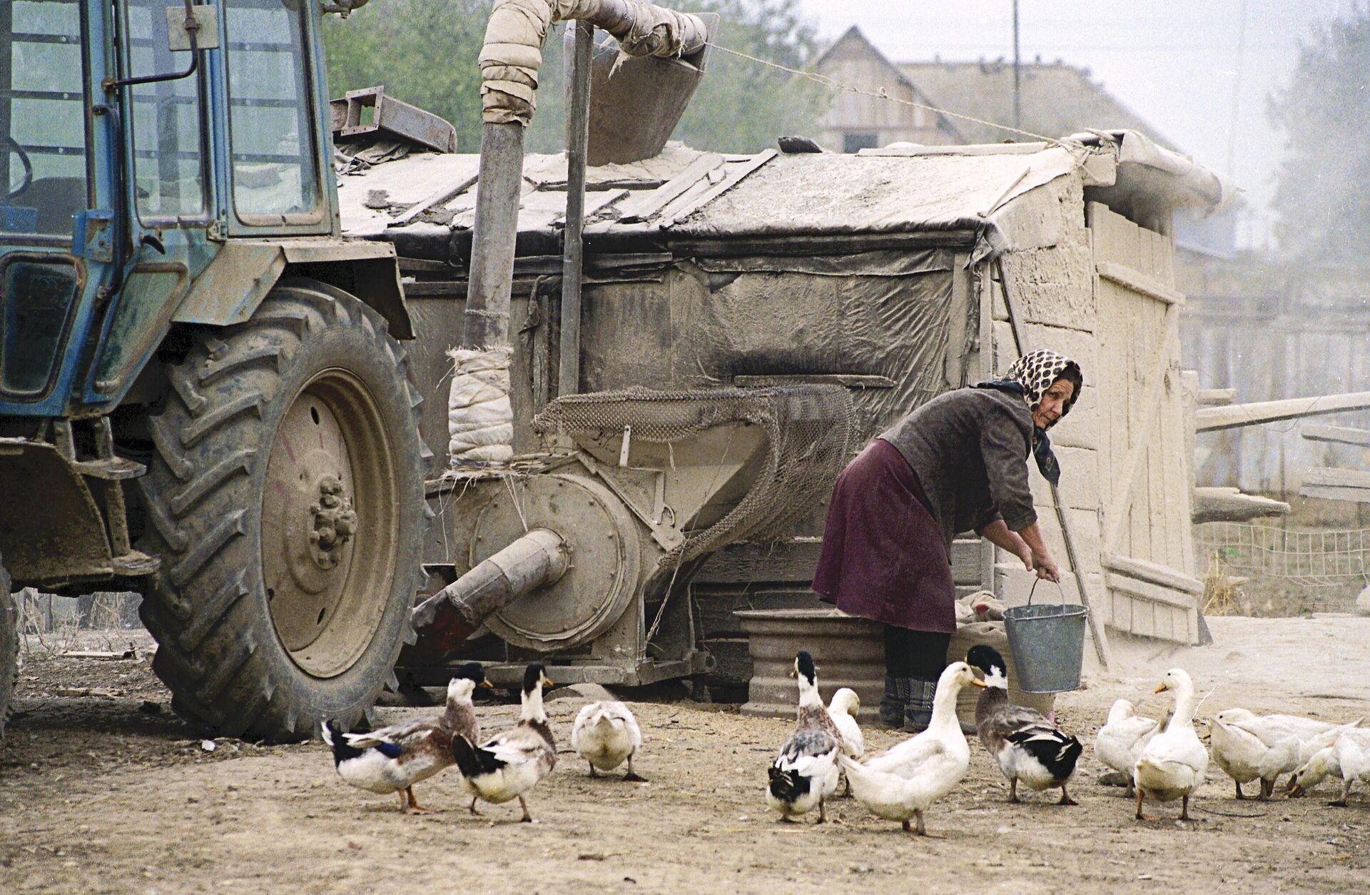 A woman feeds geese A woman feeds geese - Sputnik International, 1920, 07.05.2025