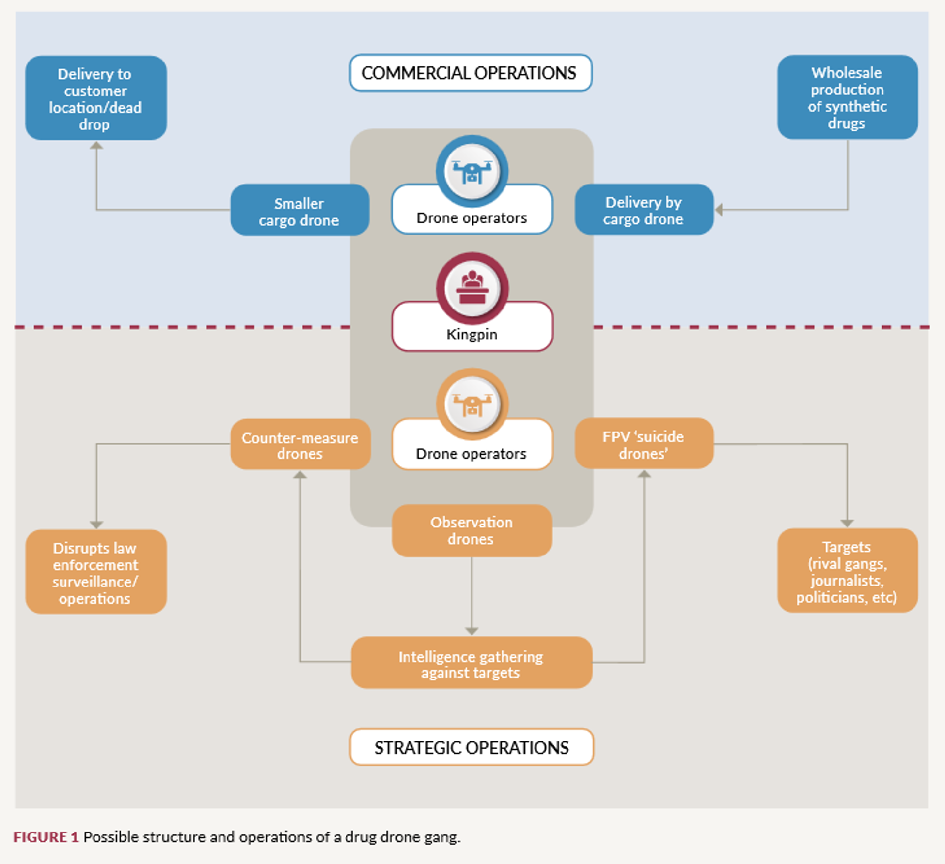 Possible structure and operations of a drug drone gang. Illustration from report by the Global Initiative Against Transnational Organized Crime on opportunities for criminal gangs to create new types of criminal enterprises post-conflict in Ukraine. - Sputnik International, 1920, 18.05.2025