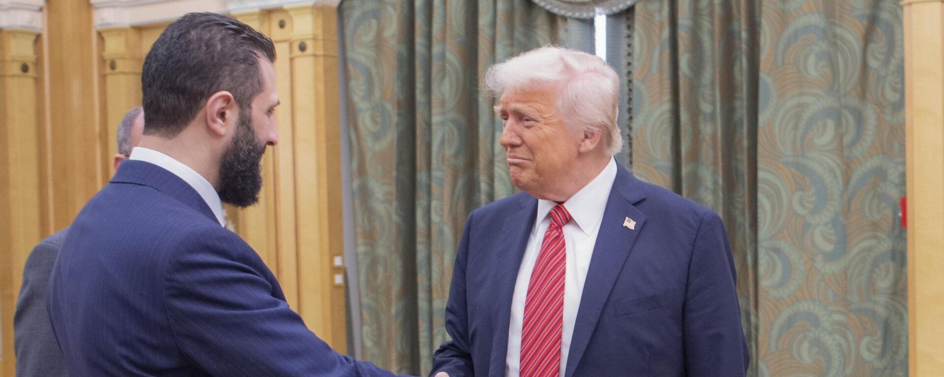 In this photo released by the Saudi Royal Palace, President Donald Trump, right, shakes hands with Syria's interim President Ahmad al-Sharaa, in Riyadh, Saudi Arabia, Wednesday, May 14, 2025 - Sputnik International, 1920, 24.05.2025