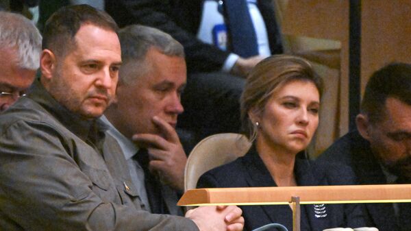 Head of the Ukrainian President's Office Andriy Yermak  - Sputnik International