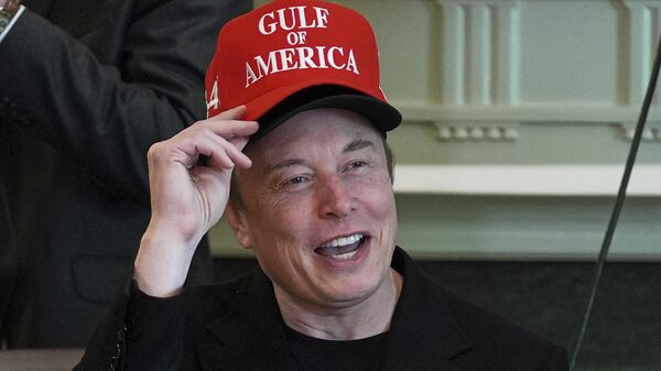 Elon Musk - Sputnik International