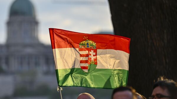 A man holds a Hungarian flag during protest outside the Hungarian Interior Ministry building. - Sputnik International