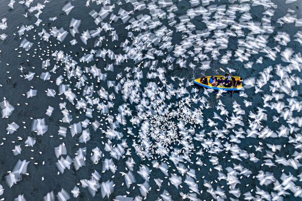 Serenity in motion by Mushfiqul Alam from Bangladesh Serenity in motion by Mushfiqul Alam from Bangladesh - Sputnik International