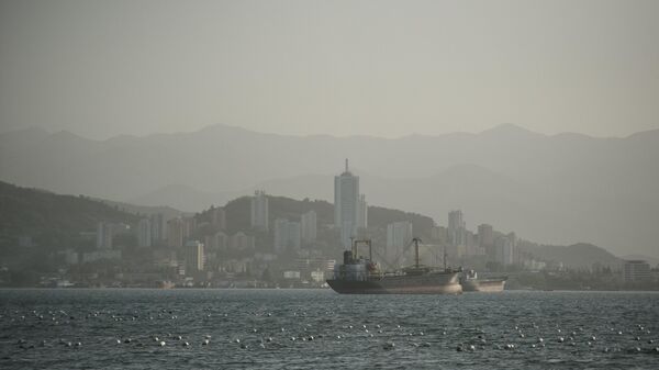 View of the ships from the embankment - Sputnik International