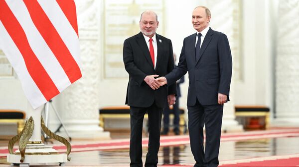 Russian President Vladimir Putin held talks with Malaysia's Supreme Ruler Sultan Ibrahim - Sputnik International