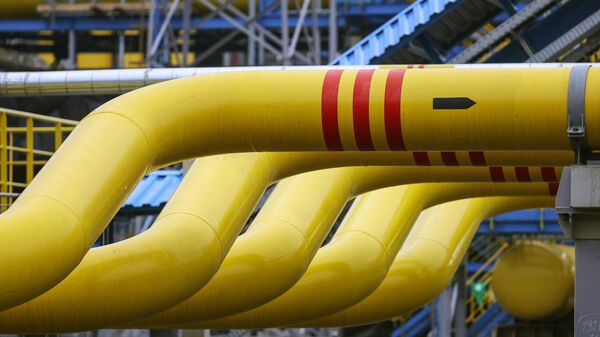 The Amur Gas Processing Plant, located near the town of Svobodny in the Amur region, processes multi-component gas delivered via the Power of Siberia pipeline, with a design capacity of 42 billion cubic meters per year. - Sputnik International