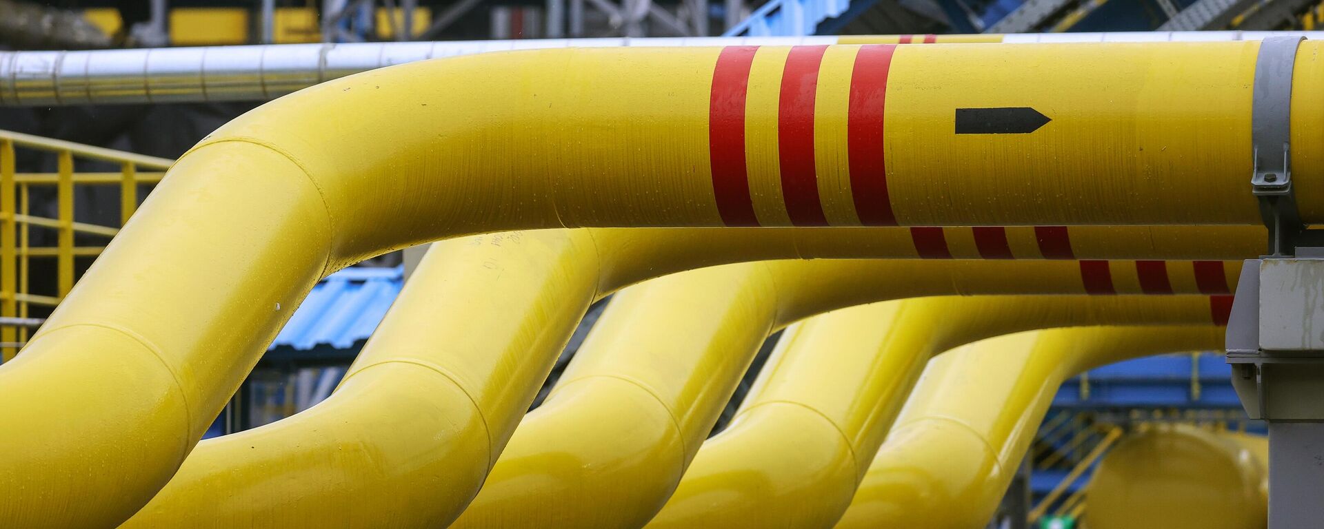 The Amur Gas Processing Plant, located near the town of Svobodny in the Amur region, processes multi-component gas delivered via the Power of Siberia pipeline, with a design capacity of 42 billion cubic meters per year. - Sputnik International, 1920, 20.05.2026