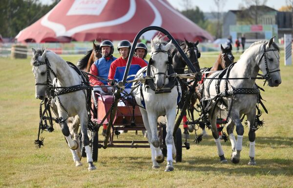 The Russian troika is a vivid symbol of Russian culture. - Sputnik International