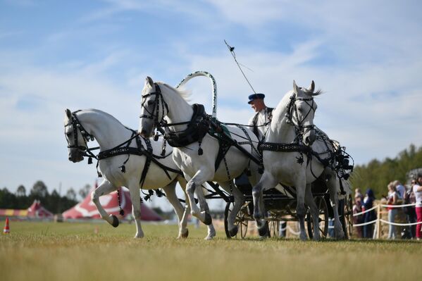 The Russian troika has no analogue in the world. - Sputnik International