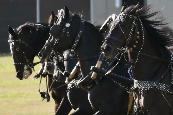 The performance lasted an hour and a half. - Sputnik International