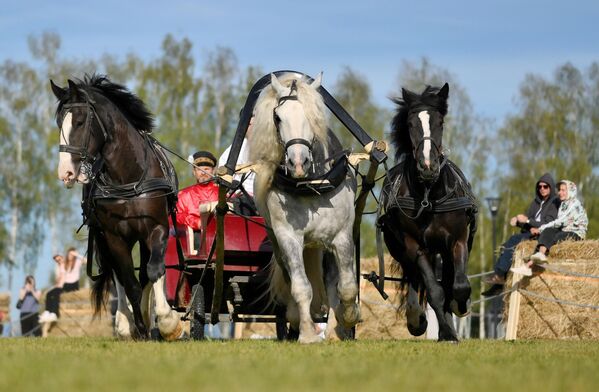 Participants of the show. - Sputnik International