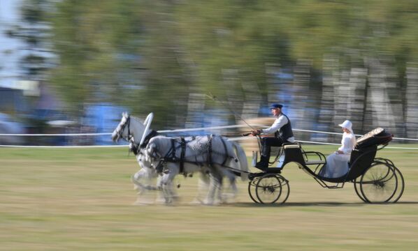 The highlight of the program was the horse show &quot;Russian Troika. Flying through the ages.&quot; - Sputnik International