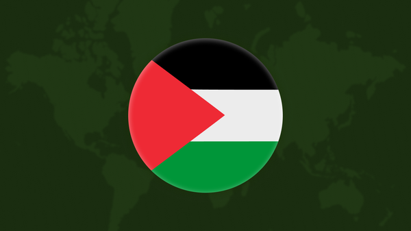 Which Countries Have Recognized Palestine? - Sputnik International