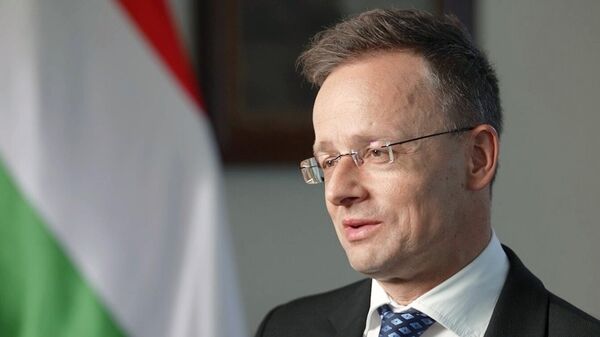 Hungarian Foreign Minister Peter Szijjarto - Sputnik International