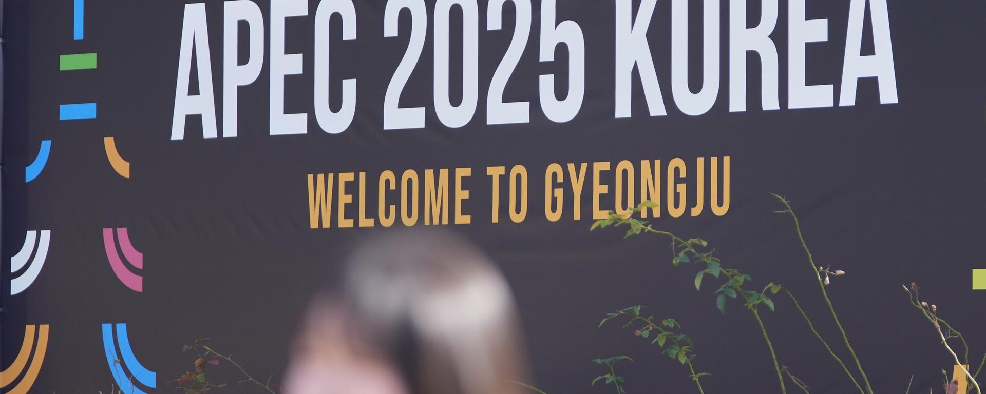 The logo of the Asia-Pacific Economic Cooperation (APEC) is seen in Gyeongju, South Korea, Thursday, Oct. 30, 2025.  - Sputnik International, 1920, 02.11.2025