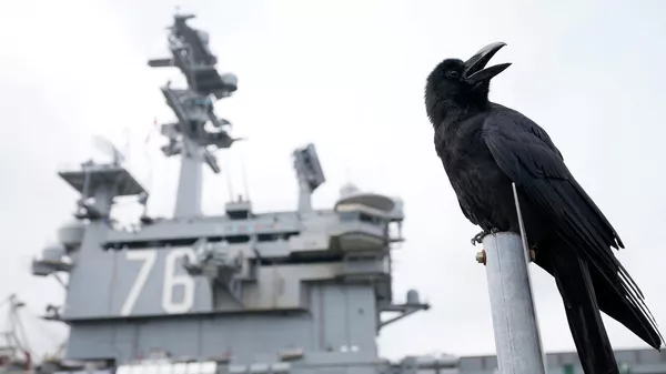 The crow is cawing near the U.S. Navy Aircraft carriers USS Ronald Reagan (CVN-76) at the U.S. Navy's Yokosuka base Thursday, May 16, 2024, in Yokosuka, south of Tokyo.  - Sputnik International