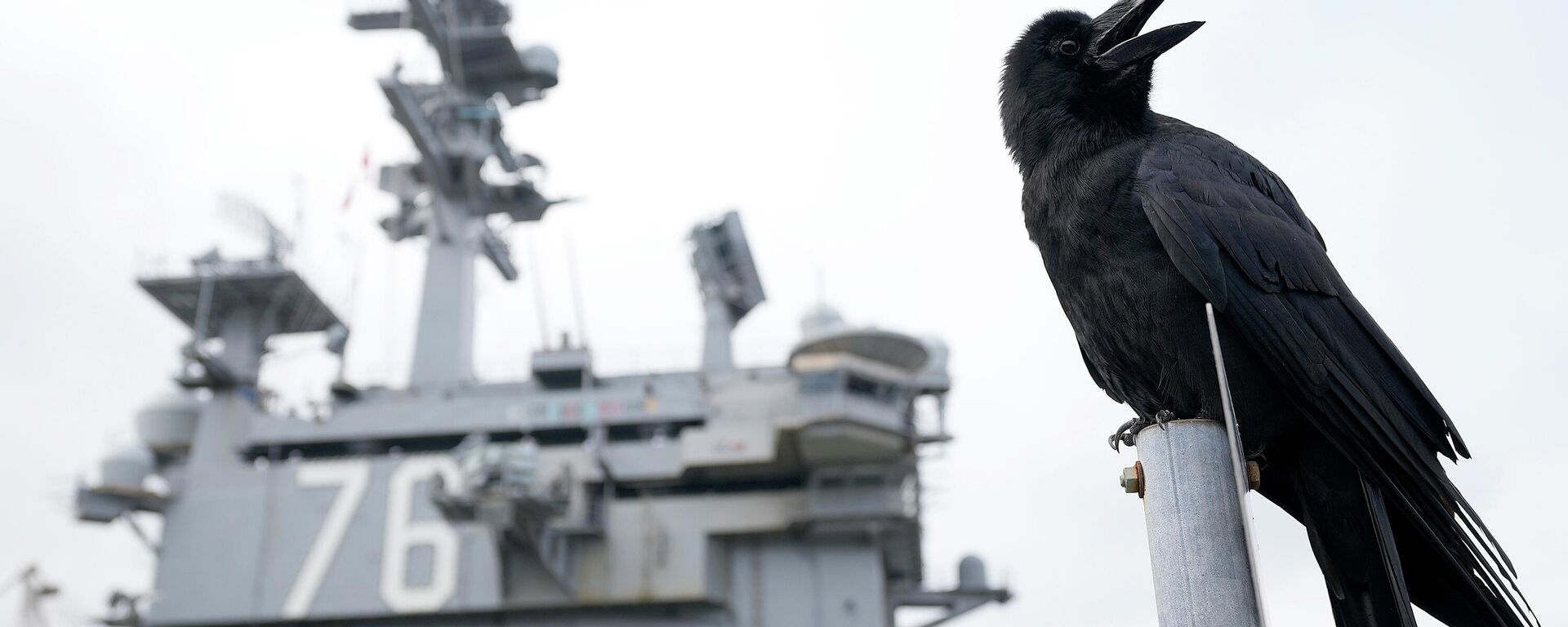 The crow is cawing near the U.S. Navy Aircraft carriers USS Ronald Reagan (CVN-76) at the U.S. Navy's Yokosuka base Thursday, May 16, 2024, in Yokosuka, south of Tokyo.  - Sputnik International, 1920, 23.12.2025