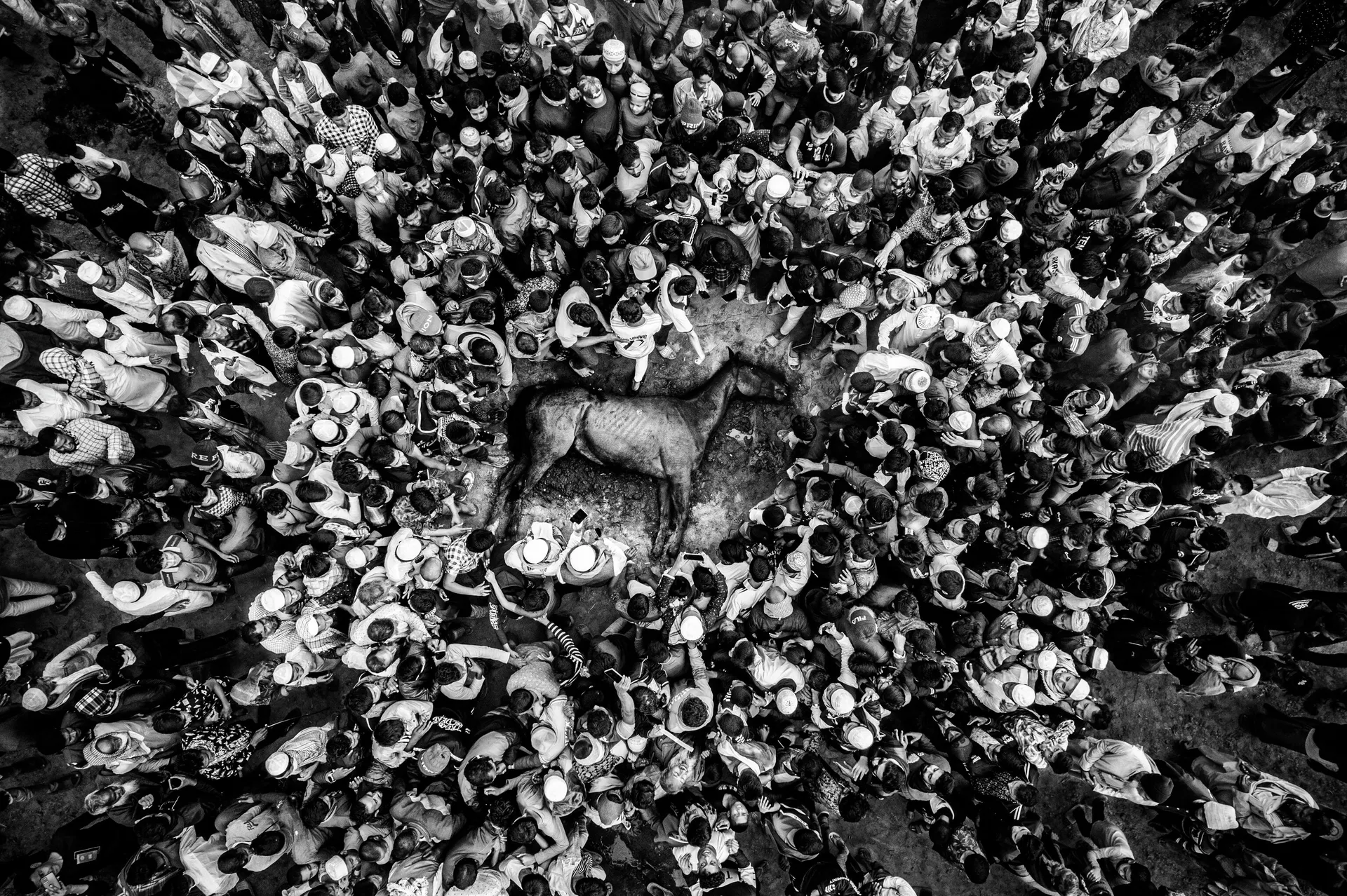 The Last Race : Fall of a Champion The Last Race : Fall of a Champion - Sputnik International, 1920, 18.11.2025