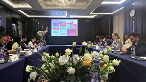 An international forum titled Dialogue for Development: Cooperation Between the City of Moscow and the Regions of the People’s Republic of China was held in Shenzhen - Sputnik International