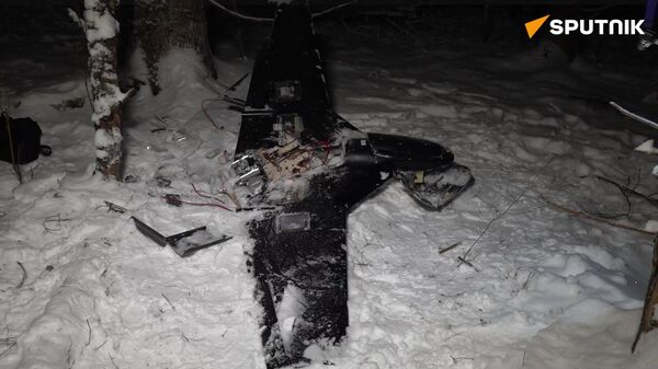 Ukrainian drone that targetted Russian President's residence - Sputnik International