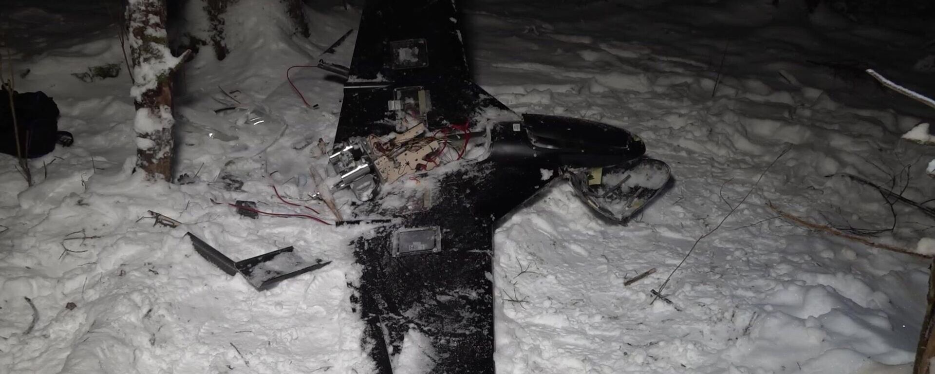 Ukrainian drone that targetted Russian President's residence - Sputnik International, 1920, 31.12.2025