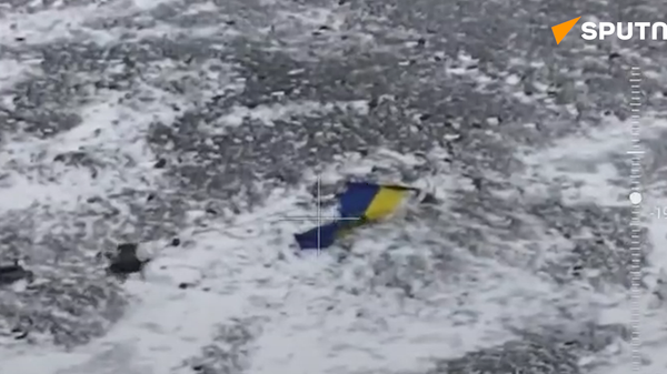 Destruction of the Ukrainian Armed Forces' flags in Pokrovsk - Sputnik International
