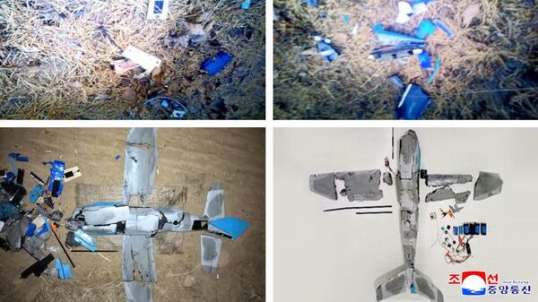 North Korea shoots down ROK surveillance drone after 8km incursion - Sputnik International