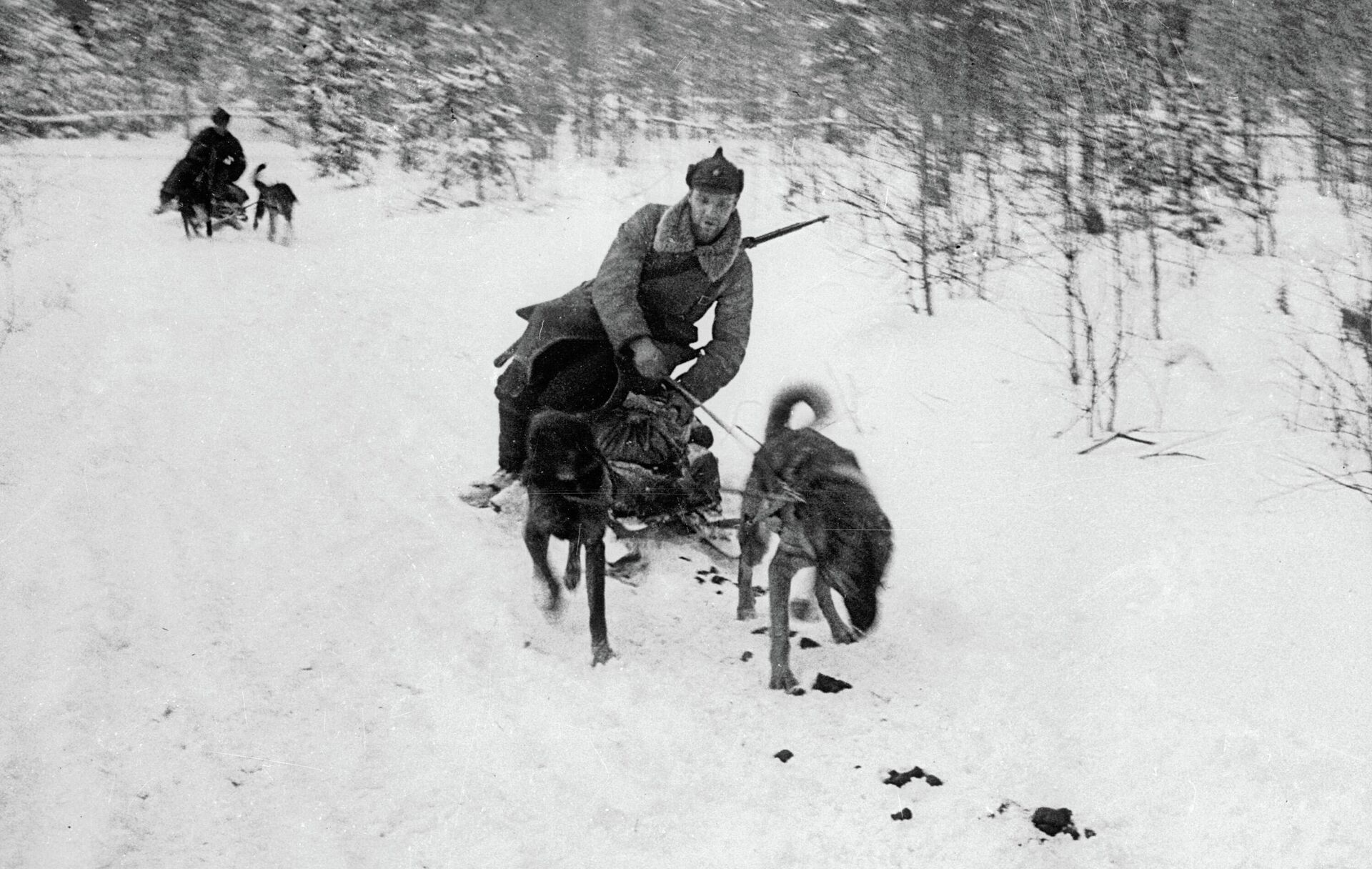 Soviet-Finnish War 1939-1940. Dog sled in service with the Red Army in the Karelian Isthmus area. - Sputnik International, 1920, 18.01.2026