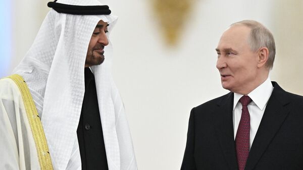 Meeting between Russian President Vladimir Putin and UAE President Mohamed bin Zayed Al Nahyan - Sputnik International