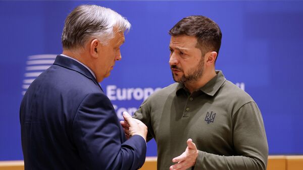 Hungary's Prime Minister Viktor Orban, left, speaks with Ukraine's Volodymyr Zelensky during a round table meeting at an EU summit in Brussels, June 27, 2024.  - Sputnik International