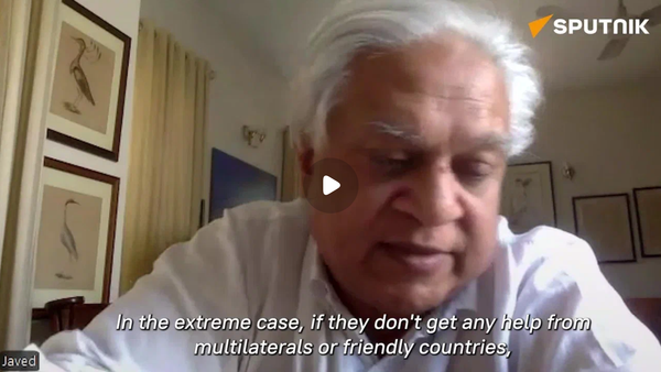 Syed Javed Hassan, financial analyst and former chairman of the Economic Advisory Group - Sputnik International