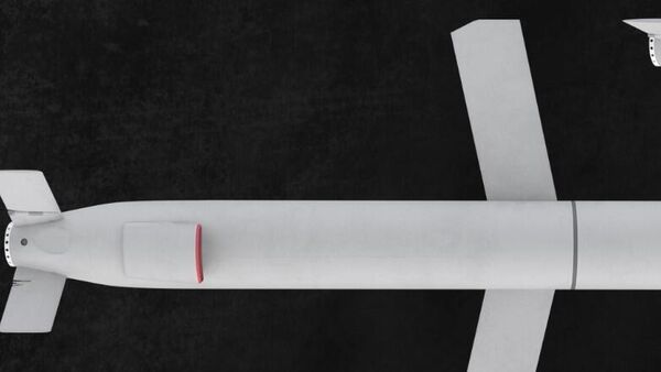 Tomahawks depleting - Sputnik International