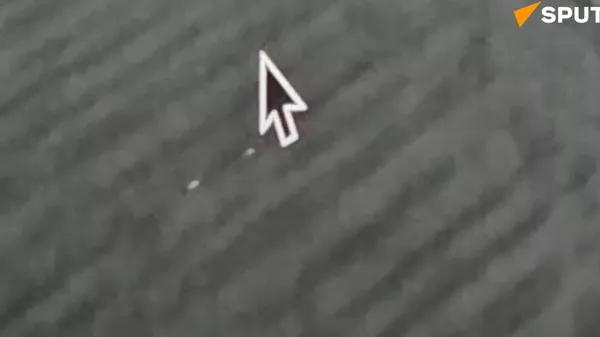  - Sputnik International