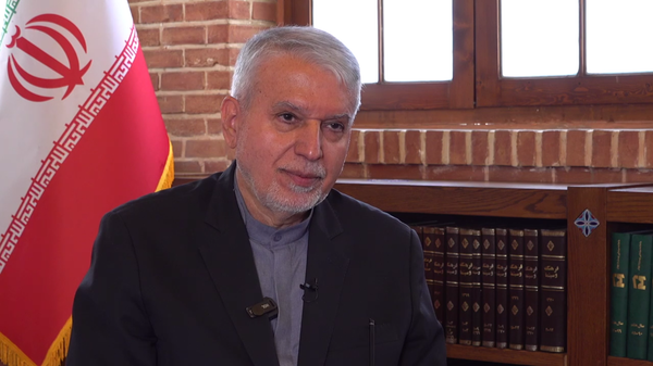 Iranian Minister of Cultural Heritage, Tourism and Handicrafts Reza Salehi Amiri - Sputnik International