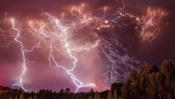 Best Wildlife Photos of 2014 - Sputnik International