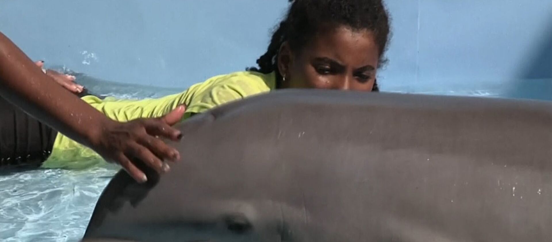 Therapy in an Aquarium: Dolphins Teach Kids With Special Needs How to Communicate - Sputnik International, 1920, 29.03.2021