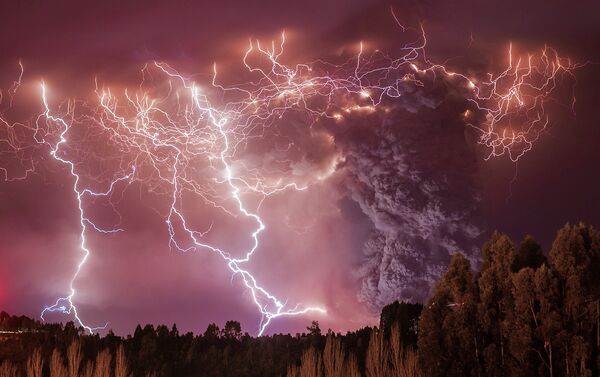 Best Wildlife Photos of 2014 - Sputnik International