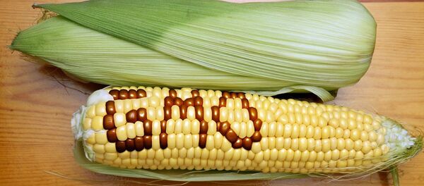 Genetically Modified Foods - Sputnik International