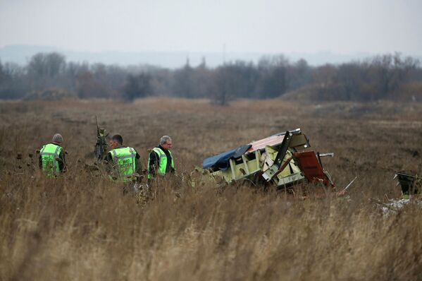 Investigating the Tragedy: Dutch Experts Clearing MH17 Crash Site - Sputnik International
