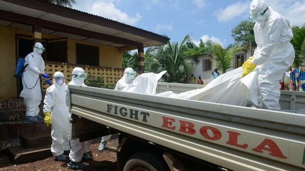 The current Ebola epidemic started in southern Guinea in late 2013 and spread to Liberia, Sierra Leone, Nigeria, and Senegal. - Sputnik International