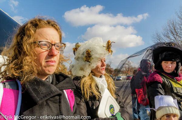 Activists turned out to protest Monsanto's activites. Some believe that products produced by the corporation are responsible for a massive decline in honey bee populations across the world. Activists turned out to protest Monsanto's activites. Some believe that products produced by the corporation are responsible for a massive decline in honey bee populations across the world. - Sputnik International