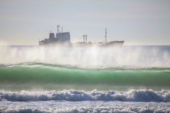 Surfing in Kamchatka, Russia Surfing in Kamchatka, Russia - Sputnik International