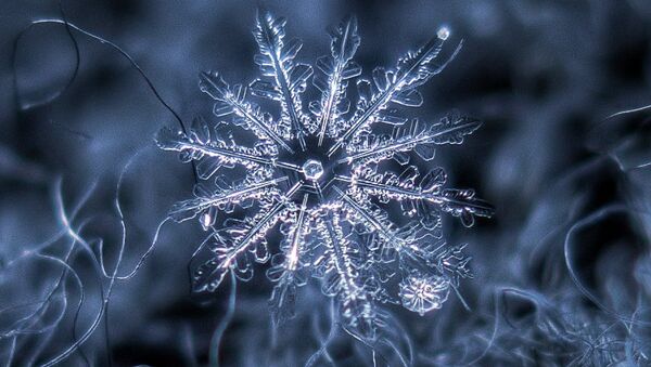 Snowflake macro - Sputnik International