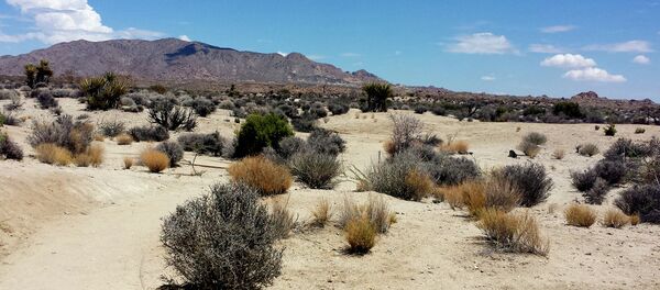 Man-made climate change is likely to spur even more severe water shortages for California in the future, especially when record-setting temperatures are combined with low levels of precipitation. - Sputnik International
