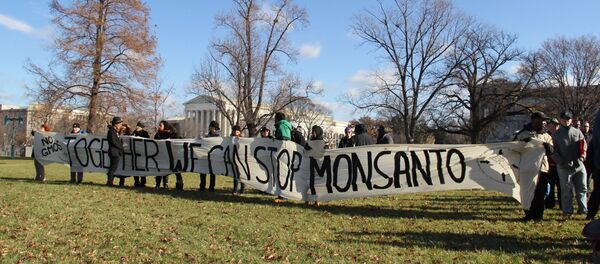 Busses of activists from more than a dozen states brought demonstrators to Washington D.C. for a rally against Monsanto outside the capitol Wednesday. Busses of activists from more than a dozen states brought demonstrators to Washington D.C. for a rally against Monsanto outside the capitol Wednesday. - Sputnik International