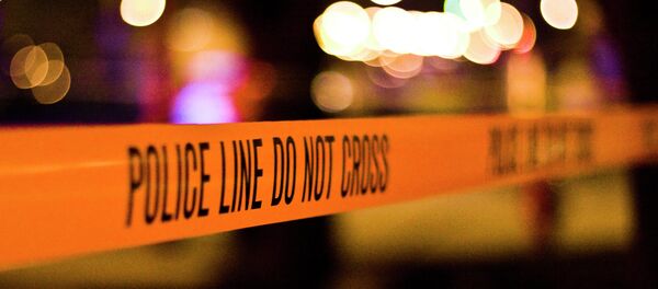  - Sputnik International